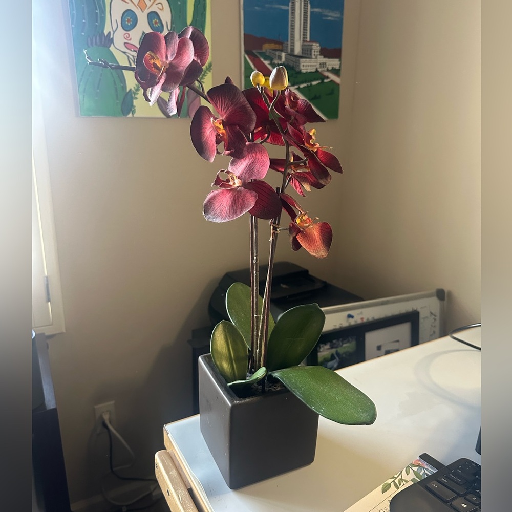 Elegant artificial Orchid in Dark Brown Pot
